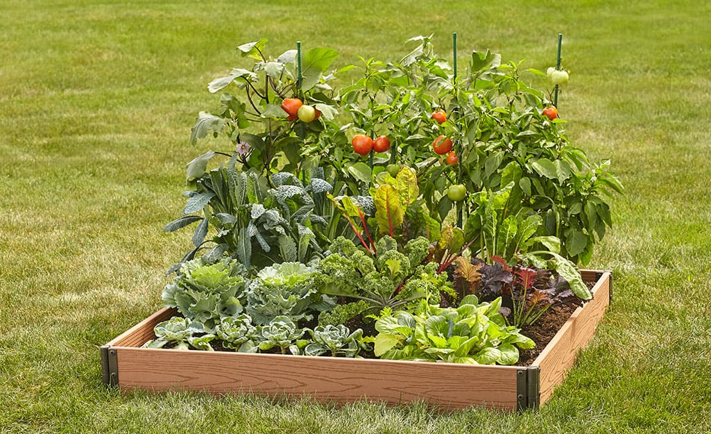 10 Raised Bed Plans for Thriving Veggie Gardens