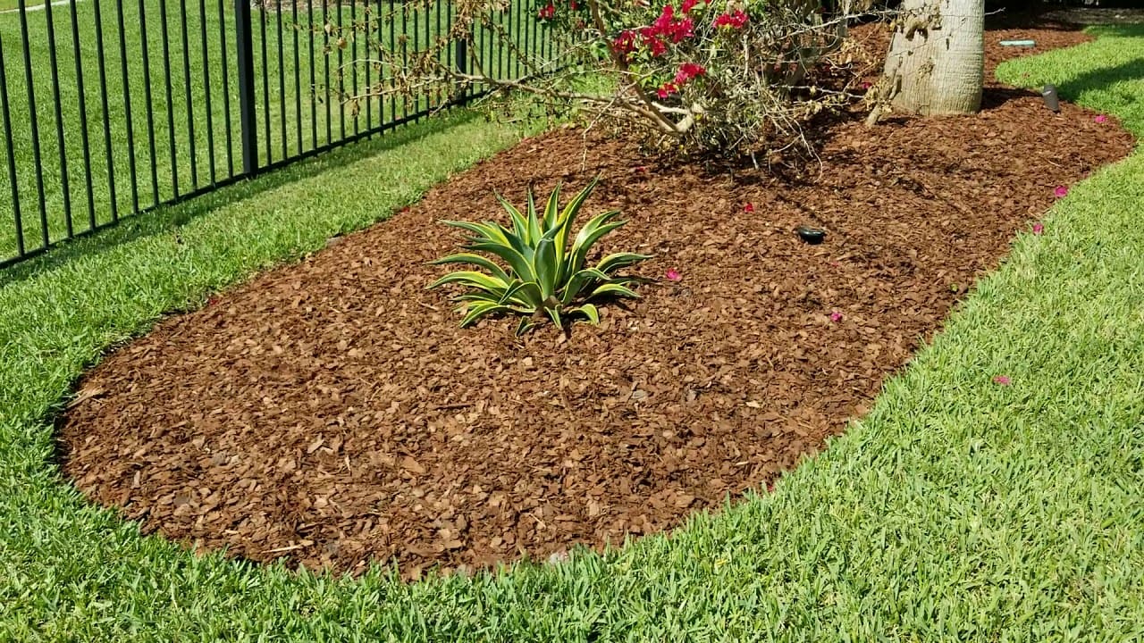 Pine Bark Nuggets: The Secret to a Beautiful, Low-Maintenance Garden