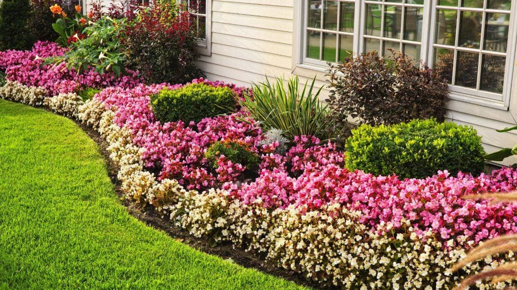 The Ultimate Guide to Garden Edging