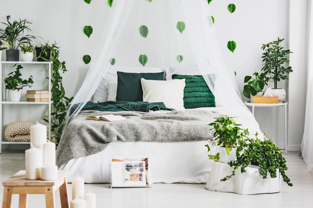 Bring Nature Indoors Essential Tips for a Forest-Themed Bedroom