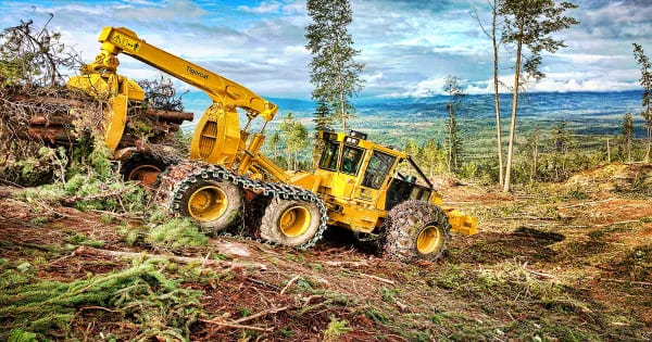 In-depth Guide to Selecting Your Forestry Equipment