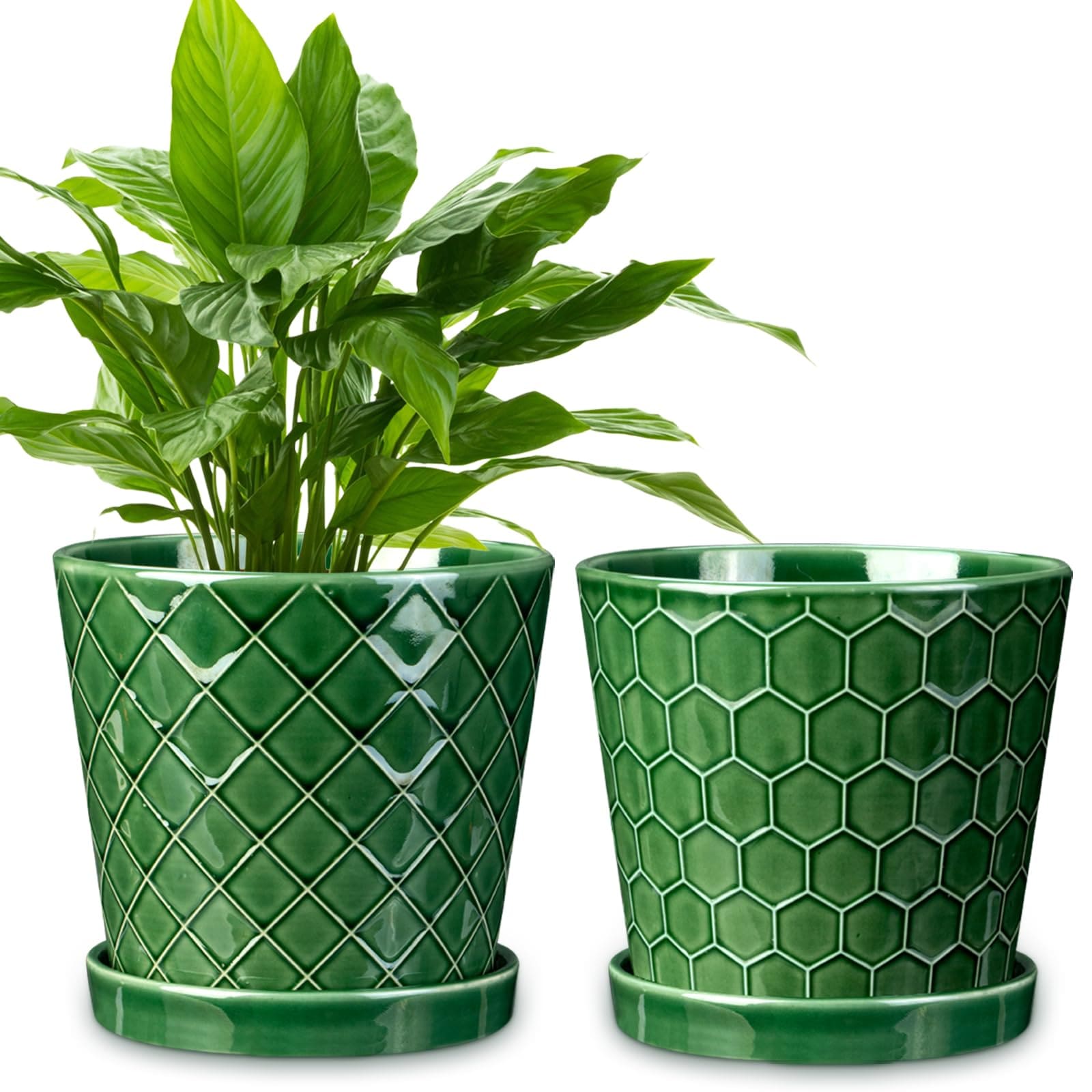 Top 10 Stylish Ceramic Plant Pots for Every Home