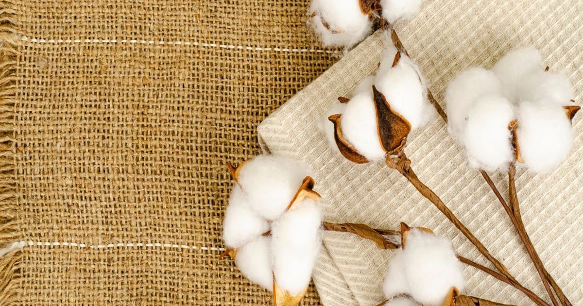 Understanding Egyptian Cotton Weaves: A Beginner's Guide