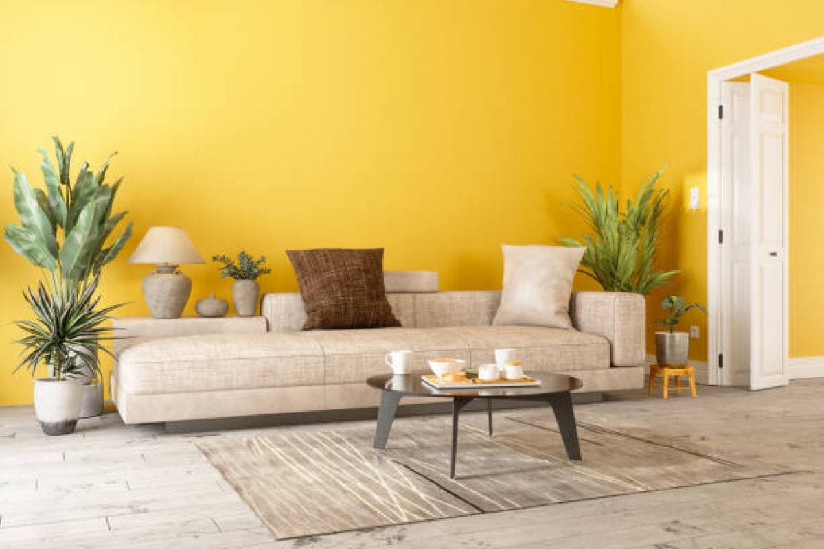 Yellow beige walls are a fantastic choice for homeowners looking to create a warm and inviting atmosphere.